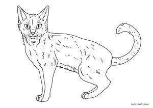 Free Printable Cat Coloring Pages For Kids