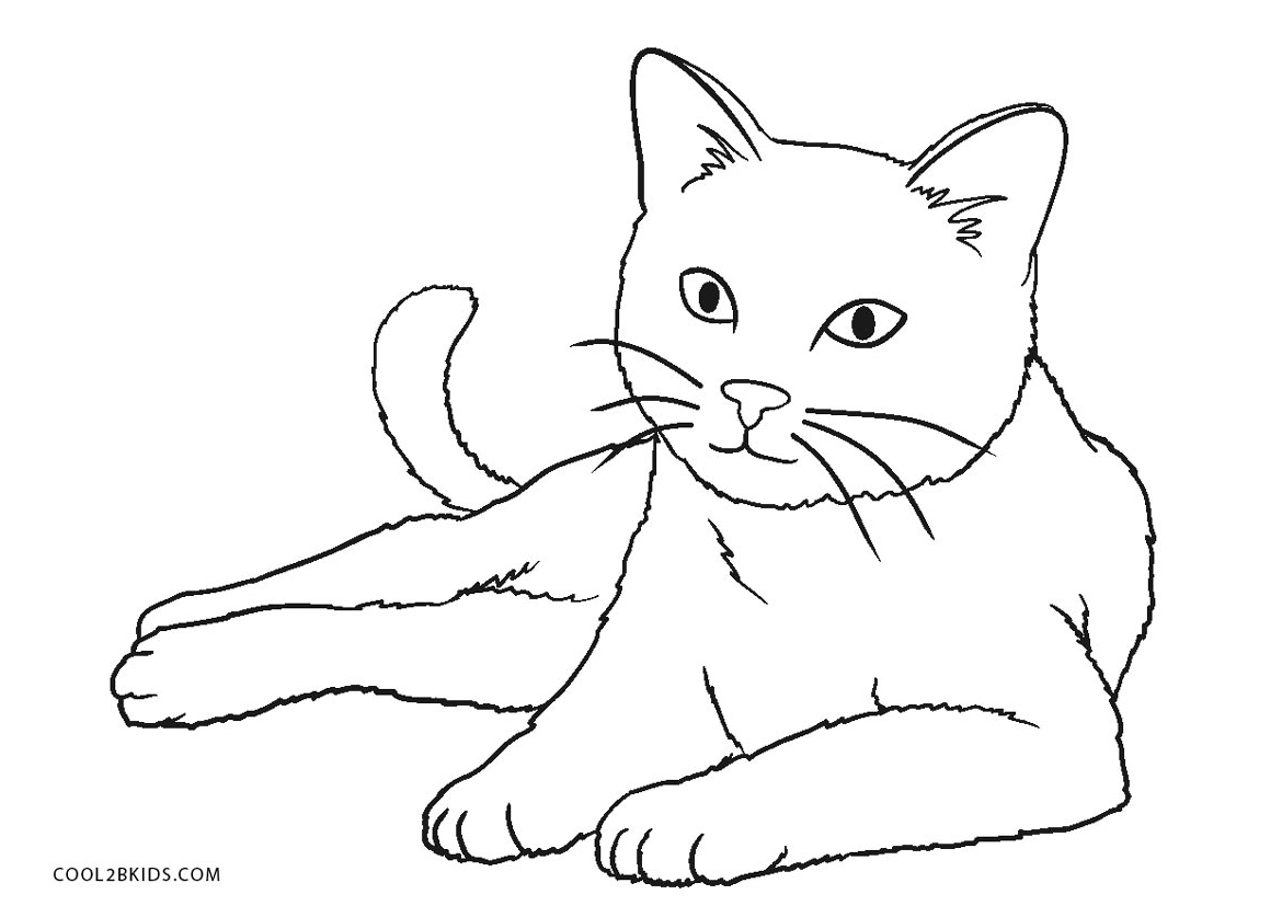 48  Colouring Page Of Cat  HD