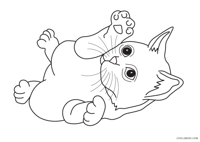6200 Kitty Cat Coloring Pages Printable  Free