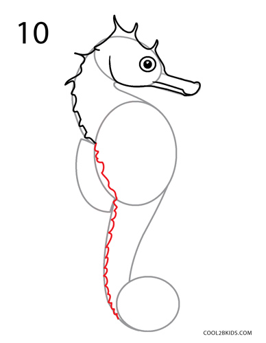 how to draw a seahorse step by step