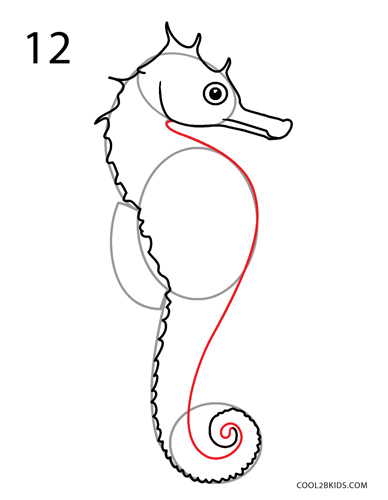 How to Draw a Seahorse (Step by Step Pictures)