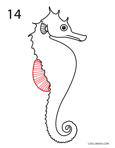 how to draw a seahorse step by step