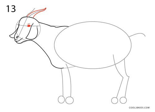 How to Draw a Goat (Step by Step Pictures)