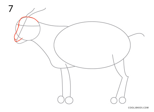 How to Draw a Goat (Step by Step Pictures)