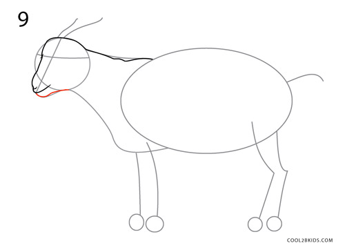 How to Draw a Goat (Step by Step Pictures)