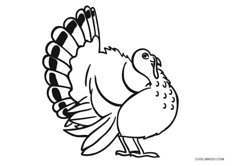 Free Printable Turkey Coloring - Printable Turkey Color Sheets 768x543 