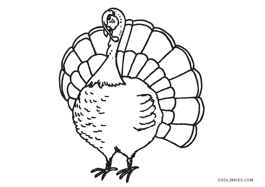 Free Printable Turkey Coloring - Simple Turkey Picture To Color 