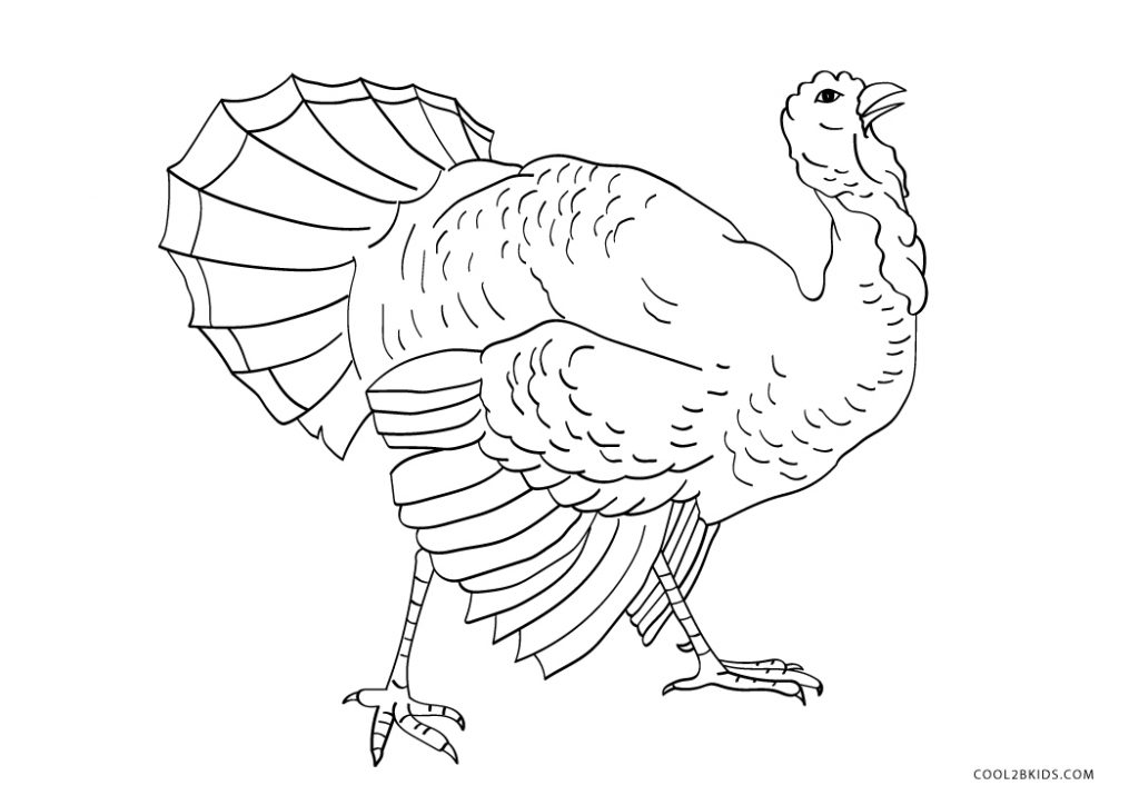 Free Printable Turkey Coloring - Turkey Coloring Pages 1024x724 