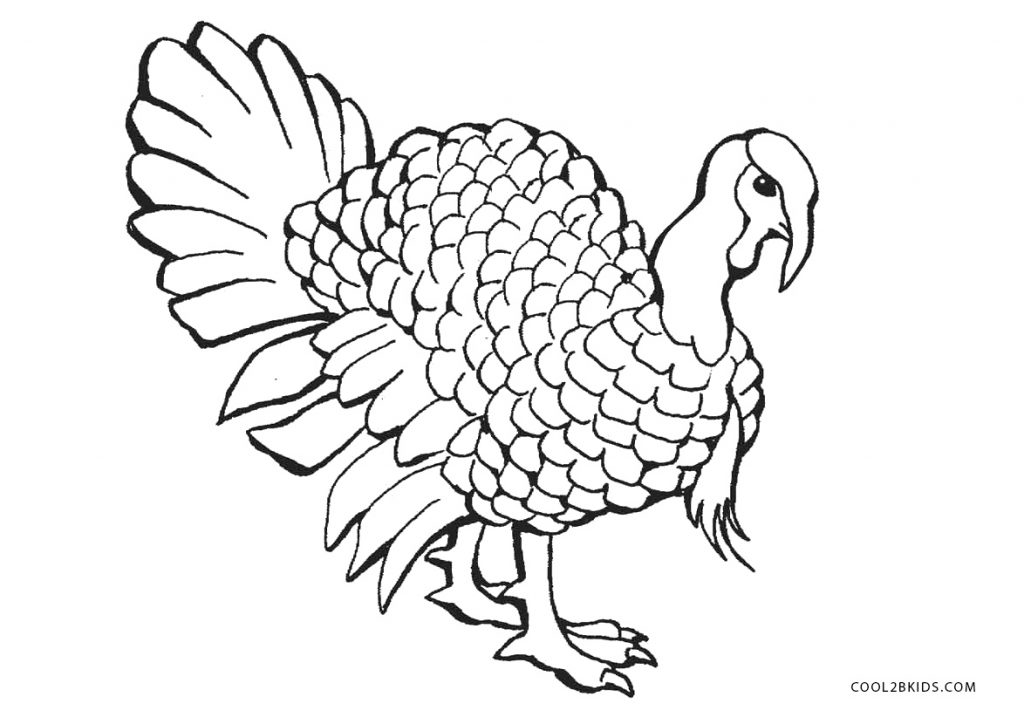turkey coloring pages turkey coloring pages