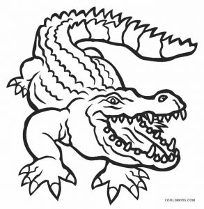 Alligator Coloring Pages Free Printable 4