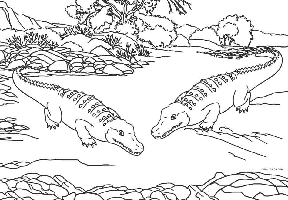 Alligator Coloring Pages Free Printable 7