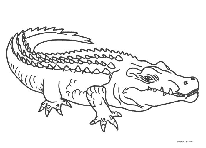 Alligator Coloring Pages Free Printable 2