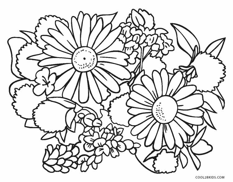 Free Printable Flower Coloring Pages for Kids - Cool2bKids