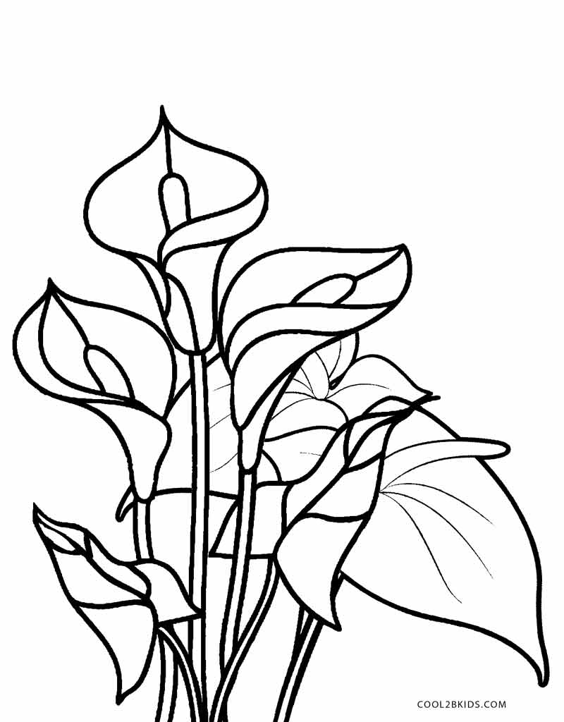 Free Printables Of Flowers To Color