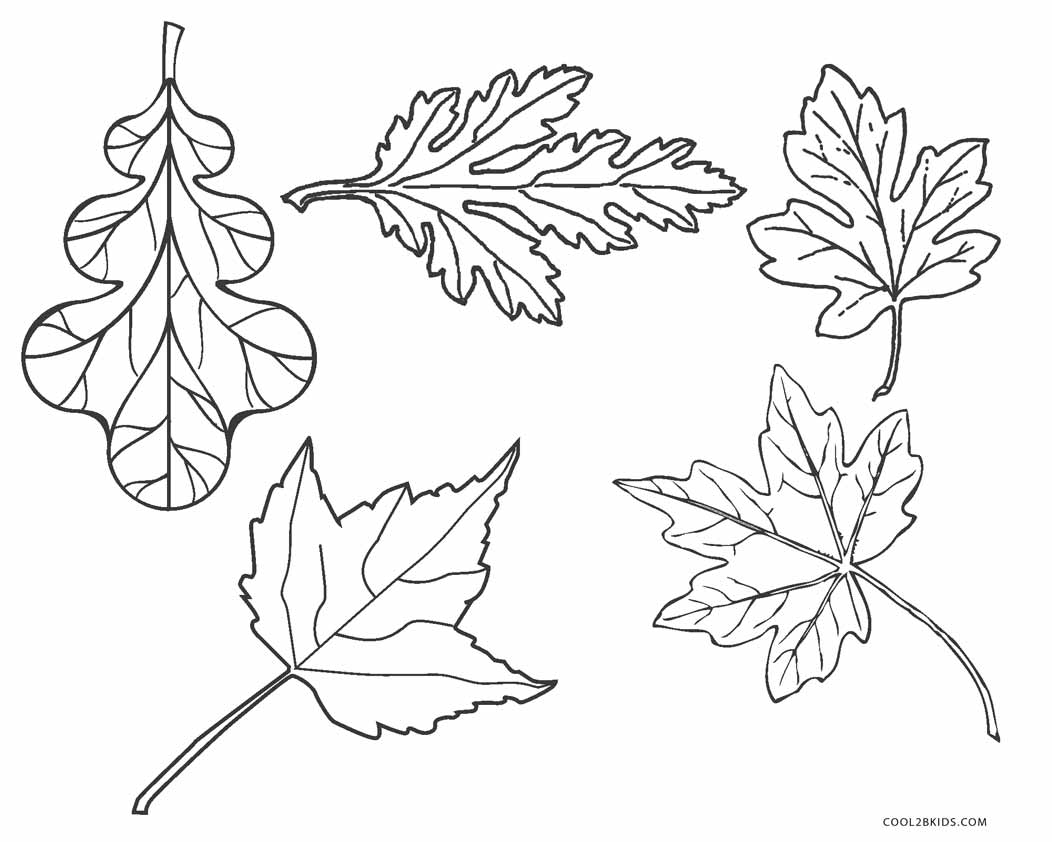 Free Printable Leaf Coloring Pages for Kids