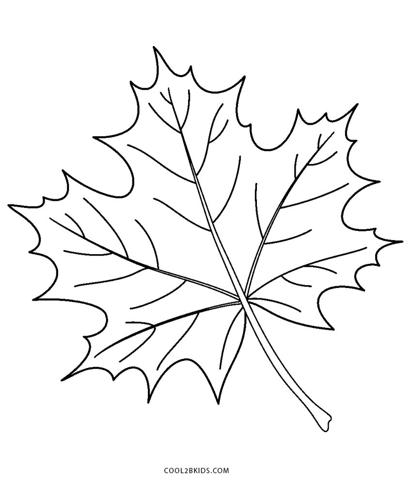 Free Printable Leaf Coloring Pages For Kids