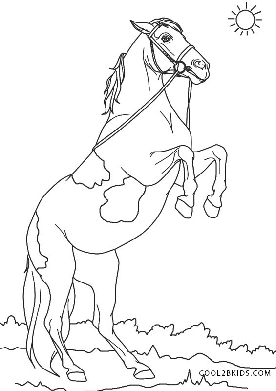 Printable Horse Coloring Pages 