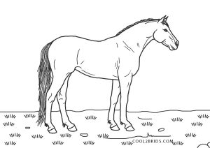 free printable horse coloring pages for kids