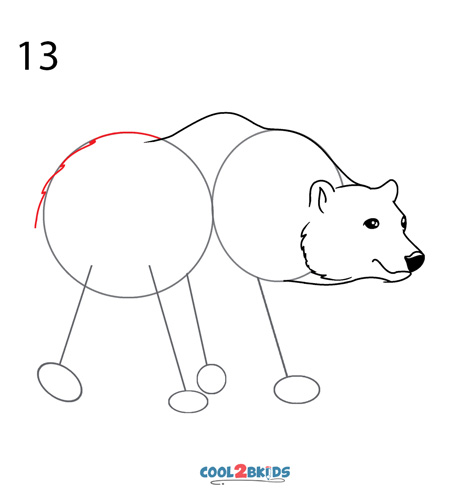 How to Draw a Polar Bear (Step by Step Pictures)