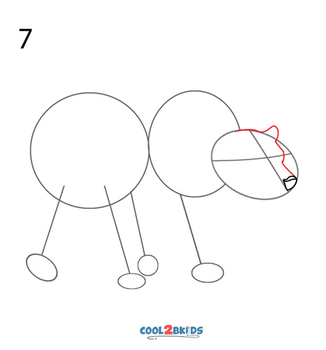 How to Draw a Polar Bear (Step by Step Pictures)
