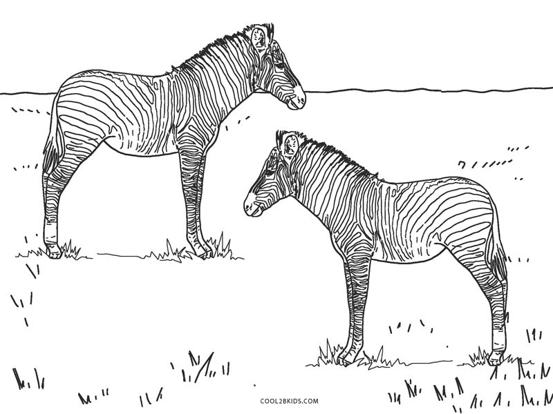 Free Printable Zebra Coloring Pages For Kids