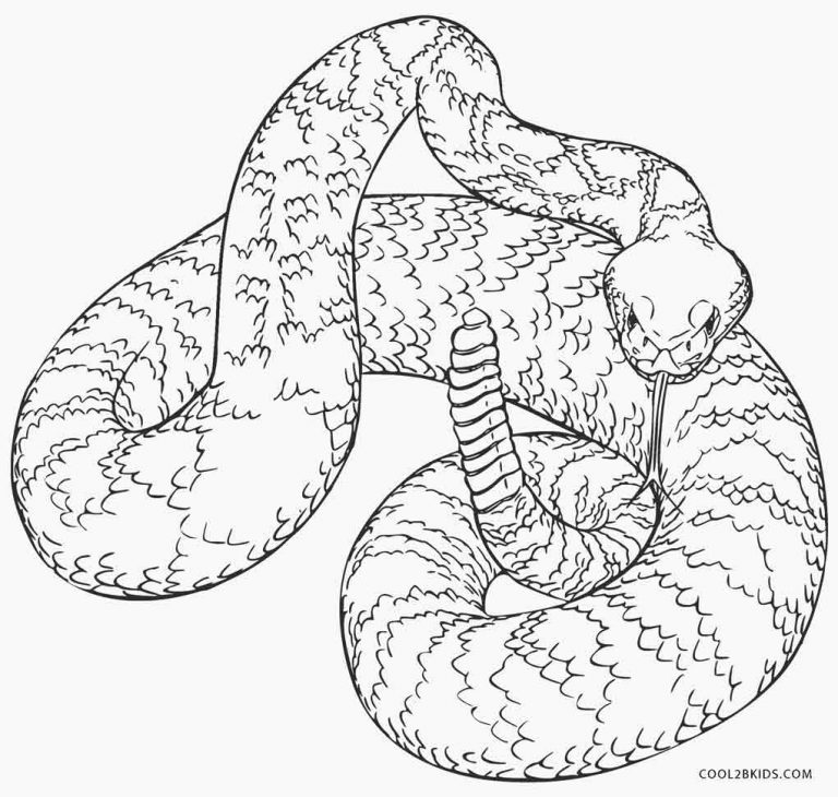 free-printable-snake-coloring-pages-for-kids