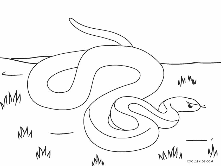 Free Printable Snake Coloring Pages For Kids