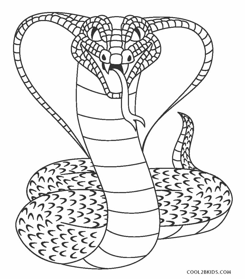 Free Printable Snake Coloring Pages For Kids