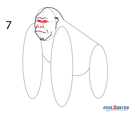 How to Draw a Gorilla (Step by Step Pictures)