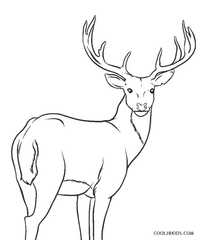 Download Free Printable Reindeer Coloring Pages For Kids