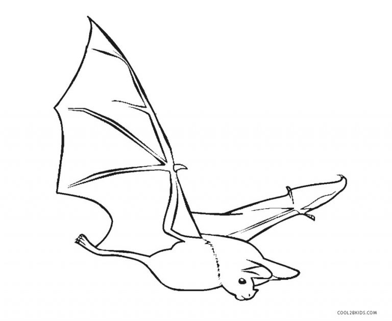 Free Printable Bat Coloring Pages For Kids