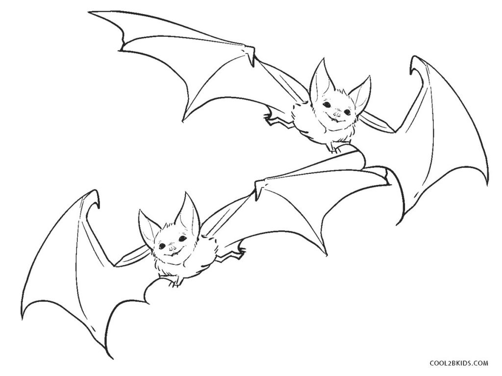 Free Printable Bat Coloring Pages - Bats Coloring Pages 1024x768 