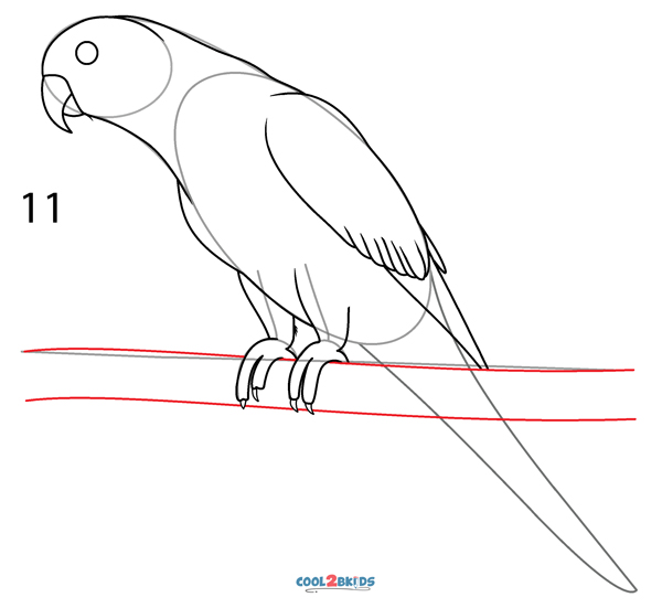 15 Beautiful Parrot Coloring Pages to Engage your Kids