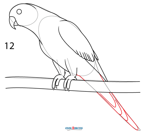 Simple Parrot Drawing – Meghnaunni.com-saigonsouth.com.vn
