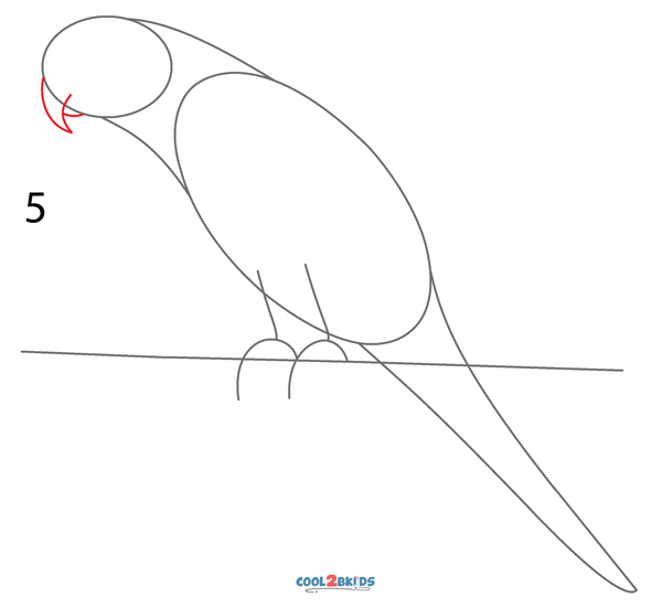 How To Draw a Parrot (Step by Step Pictures)