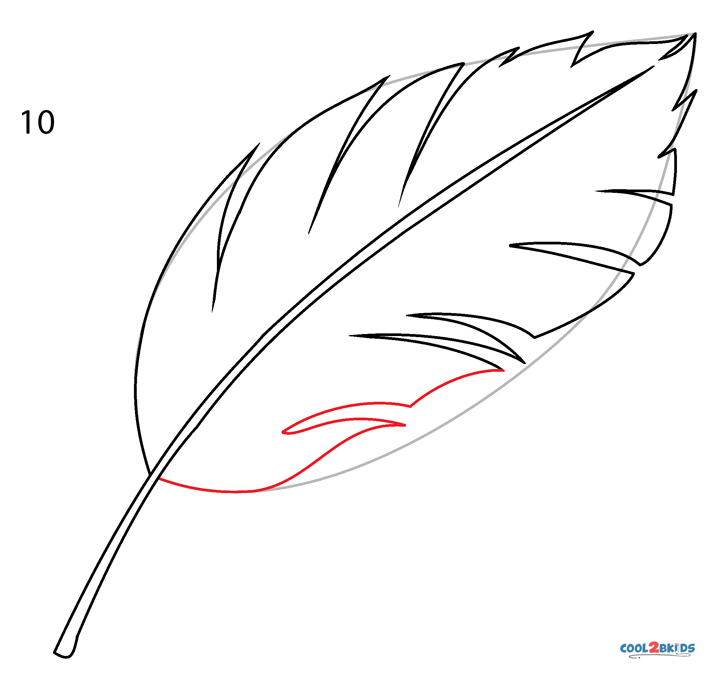 How to Draw a Feather Step 10