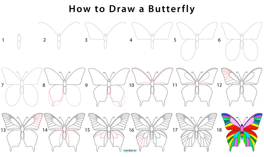How To Draw A Butterfly Step By Step Pictures First draw a short, sloping line. how to draw a butterfly step by step