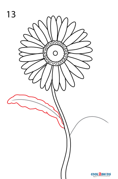 Sketch how to draw a daisy