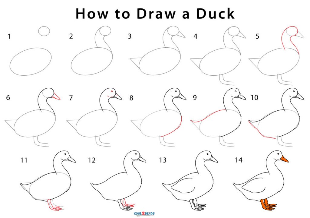 How to Draw a Duck (Step by Pictures)