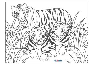 simple tiger sitting drawing - Clip Art Library
