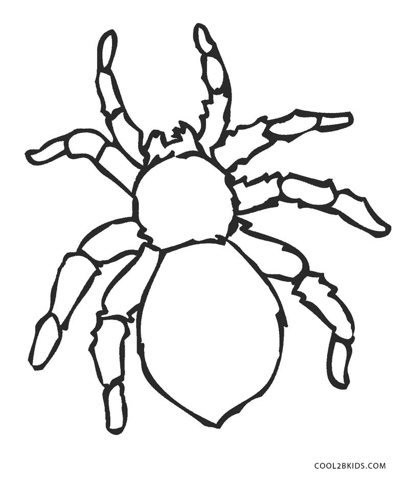 Dibujos para colorear una araña chistosa halloween  eshellokidscom