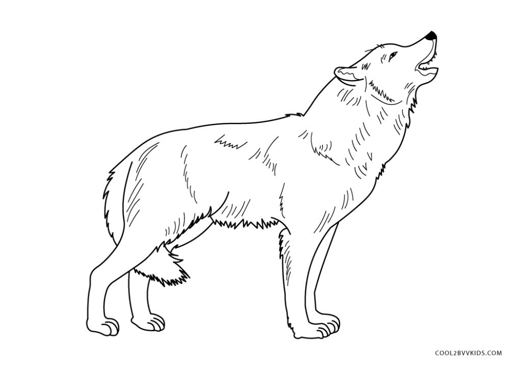 Free Printable Wolf Coloring Pages For Kids