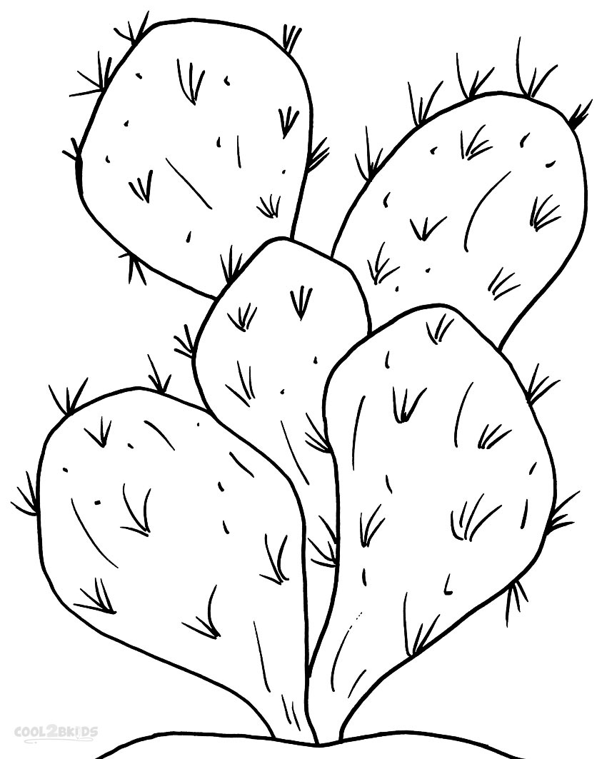 Dibujos de Cactus para colorear - Páginas para imprimir gratis