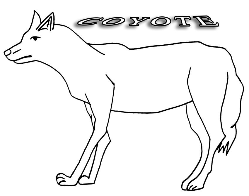 Dibujos de Coyote para colorear