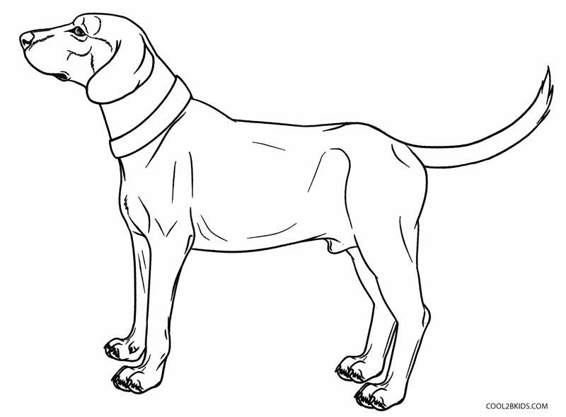 Dibujos de Perros para colorear - Páginas para imprimir gratis