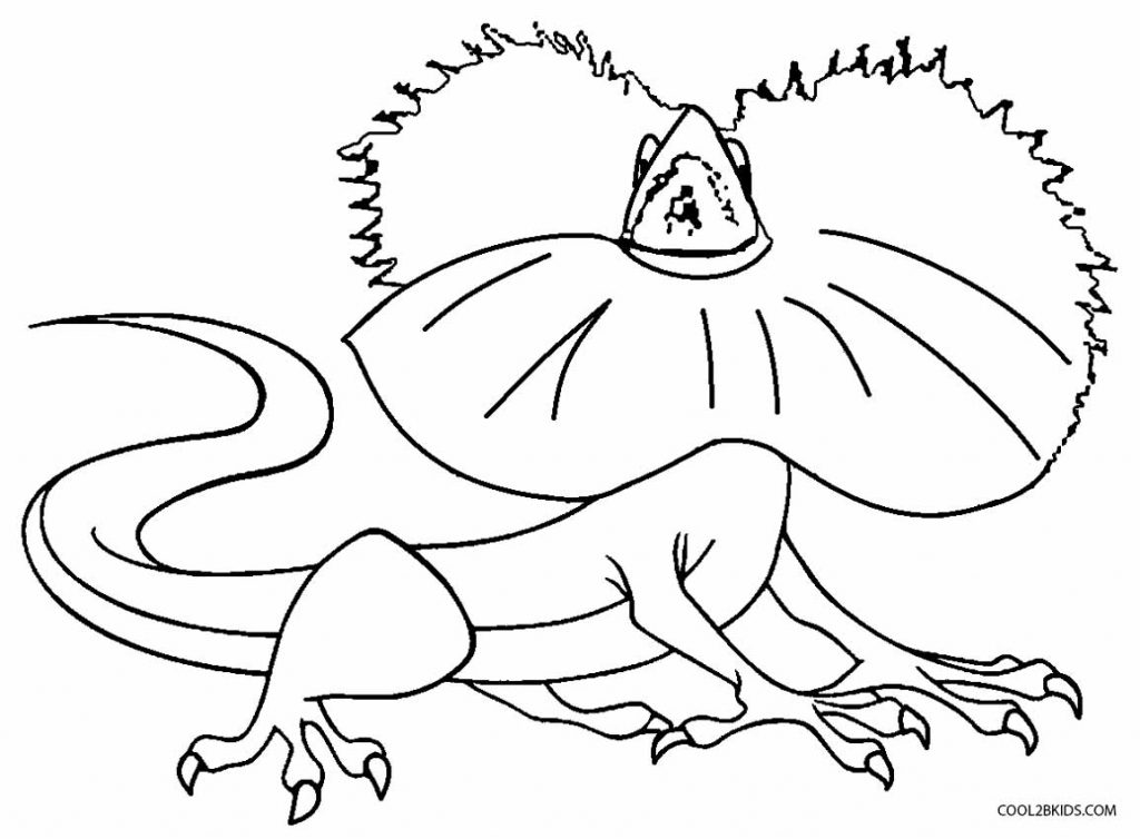 Dibujo de Lagarto para colorear - Páginas para imprimir gratis
