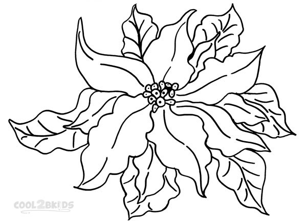 Dibujo de Flor de Nochebuena para colorear - Páginas para imprimir gratis