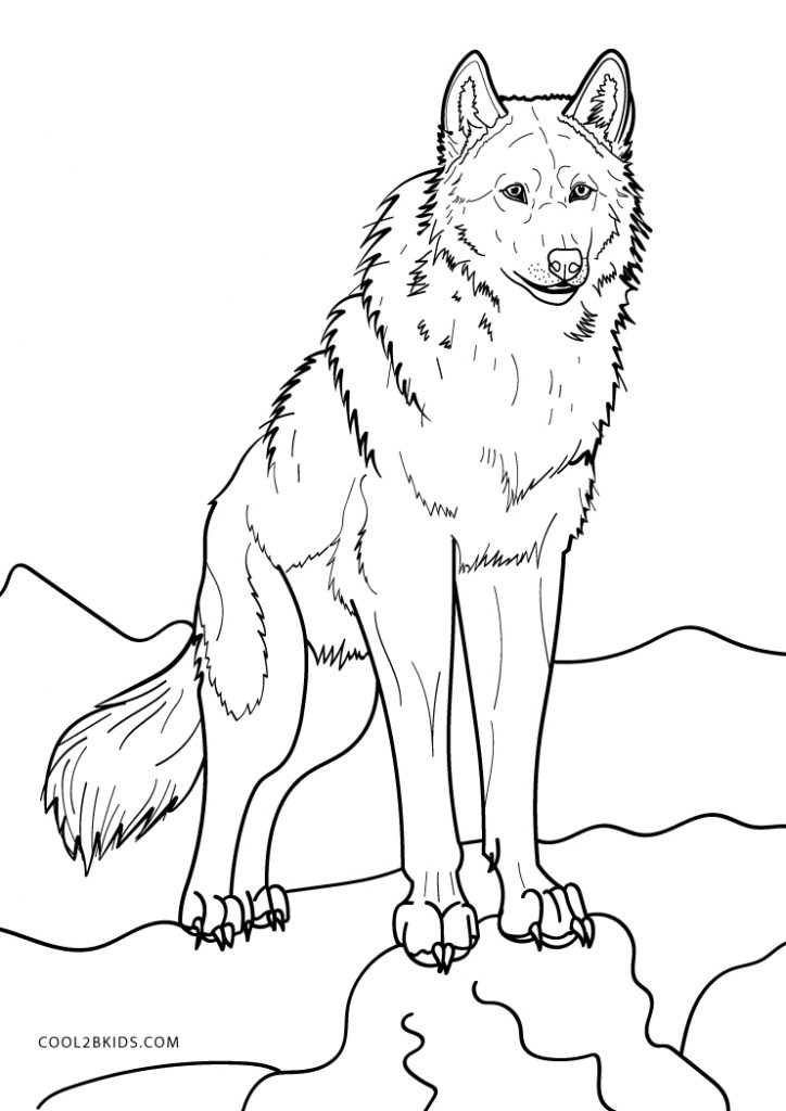 red-wolf-coloring-page