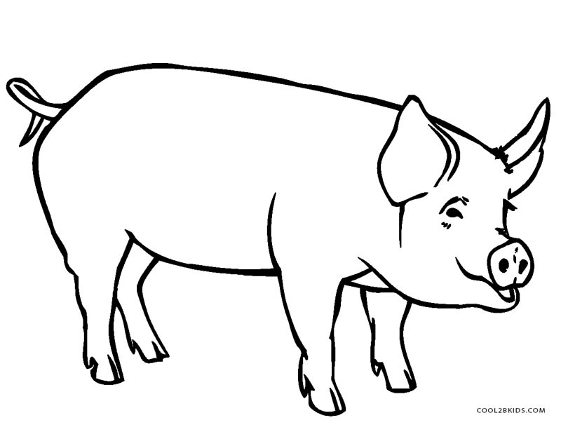  Dibujos de Cerdo colorear