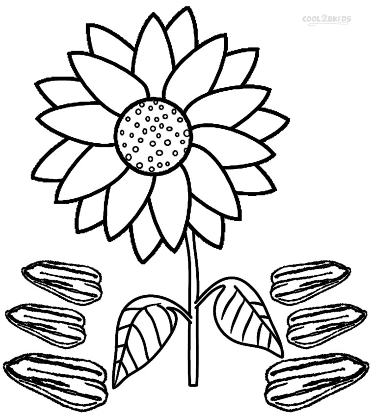 Dibujos de Girasol para colorear - Páginas para imprimir gratis